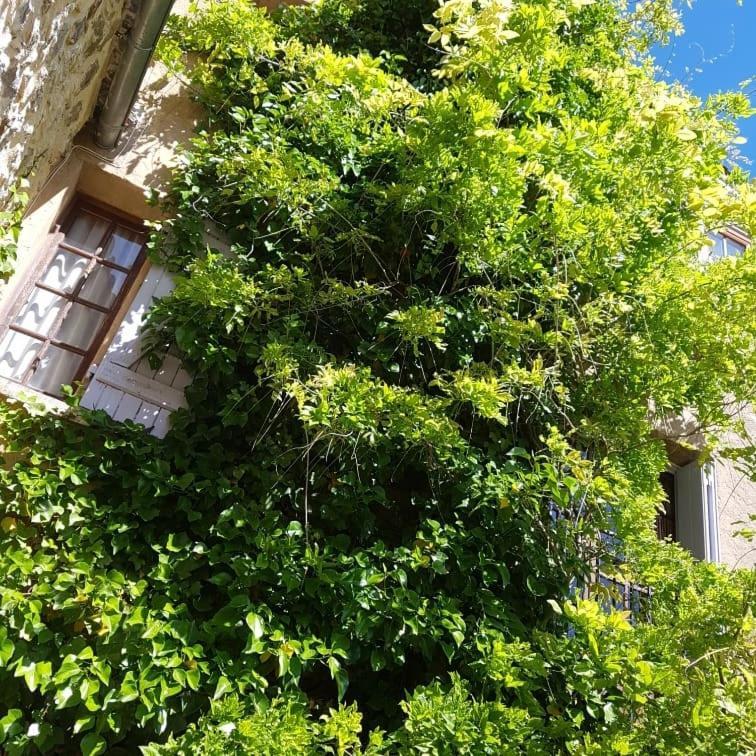 Le Chateau Camps-sur-l'Agly Екстер'єр фото